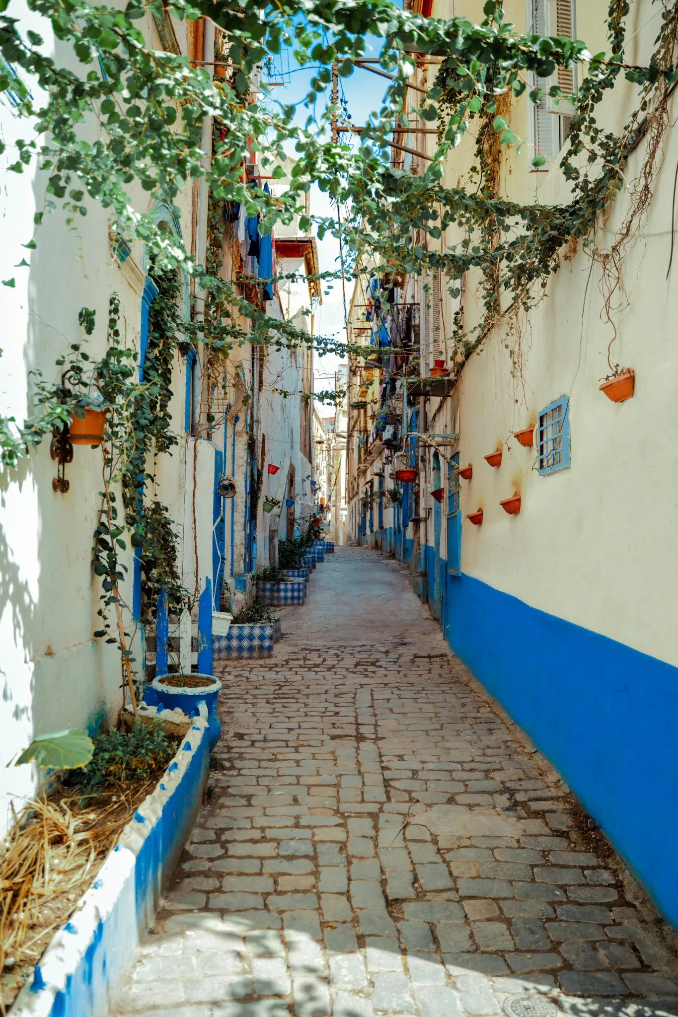 Ruelle pavée et étroite entre des maisons blanches au soubassement bleu vif, sous des plantes grimpantes ; des pots de fleurs orange sont accrochés aux murs