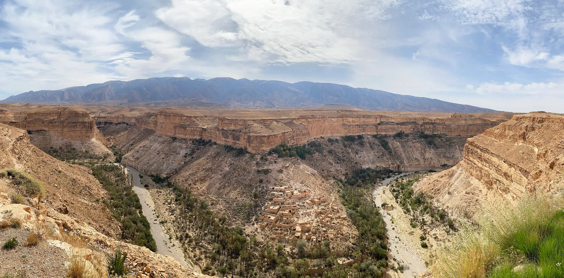 Un vaste canyon aux falaises ocre en strates ; au fond, une bande verte de palmiers suit l’oued ; une montagne bleutée ferme l’horizon