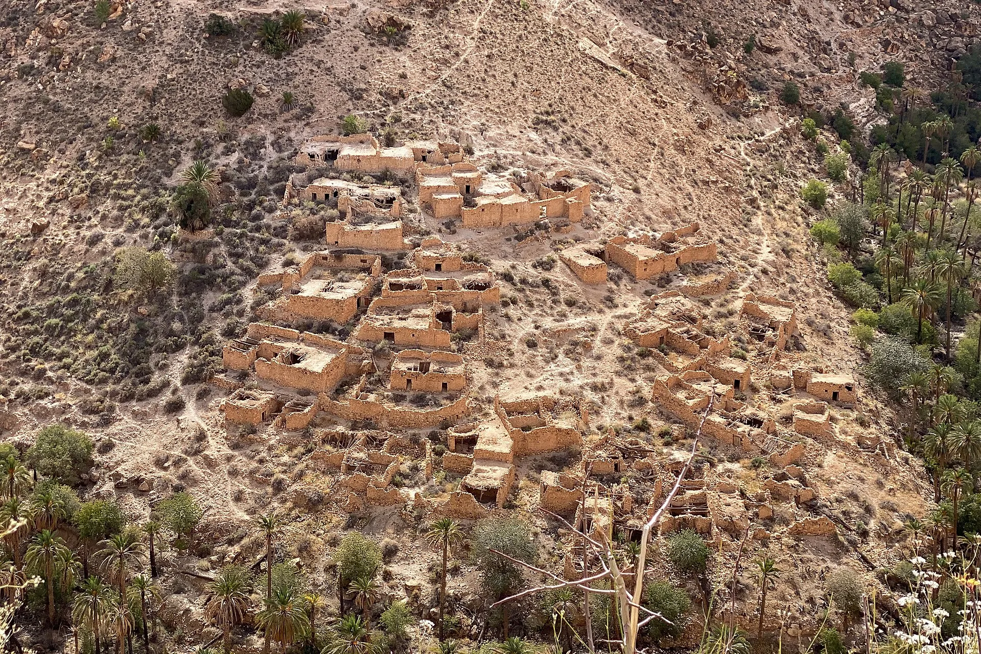 Un ancien village de maisons de pierre et de terre en ruine, serrées sur une pente aride, au-dessus de palmiers