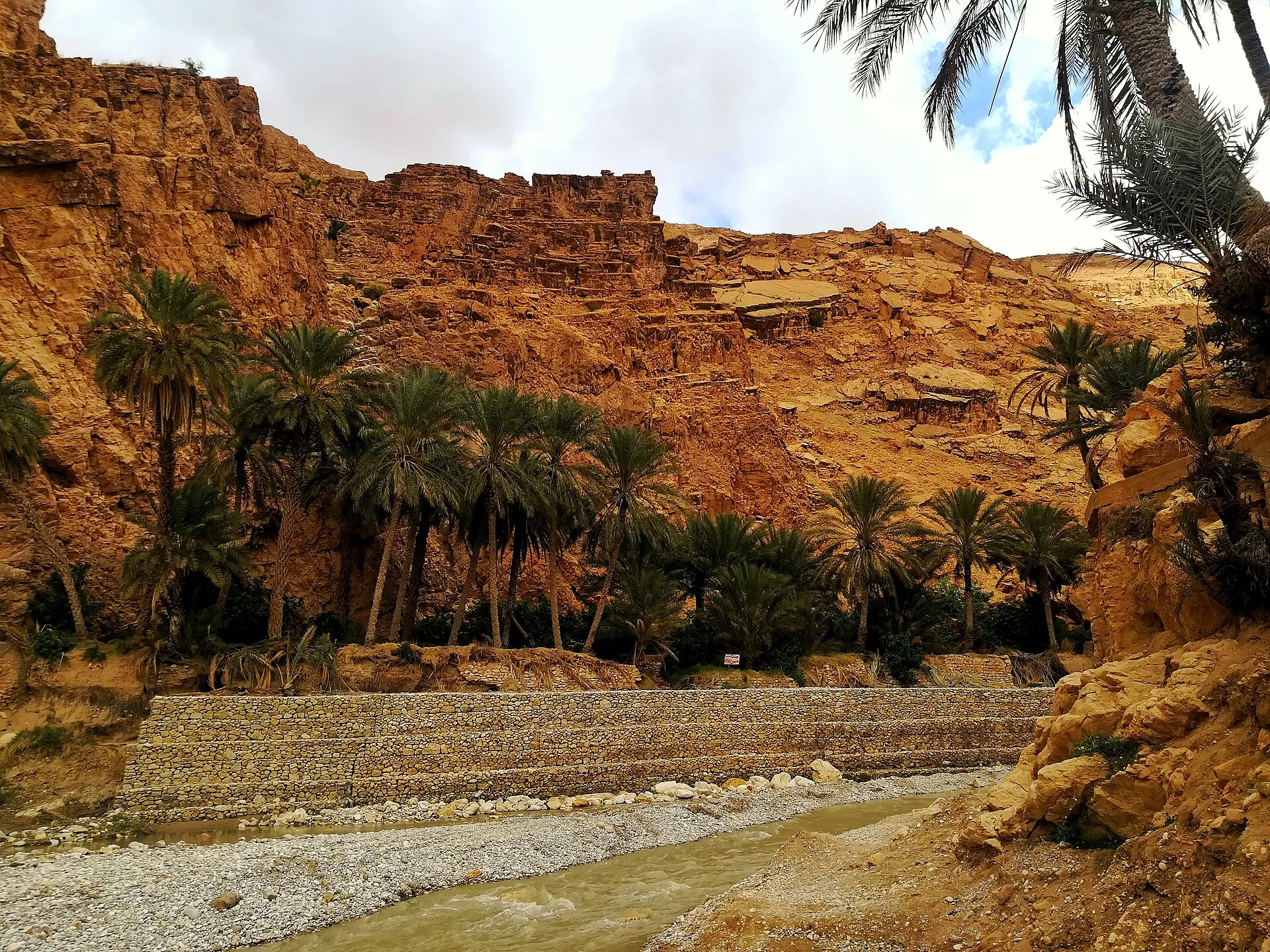 Au-dessus d’une rangée de palmiers et d’un mur de gabions, une falaise ocre rouge où s’accrochent des ruines de murs en pierre ; une eau boueuse au premier plan