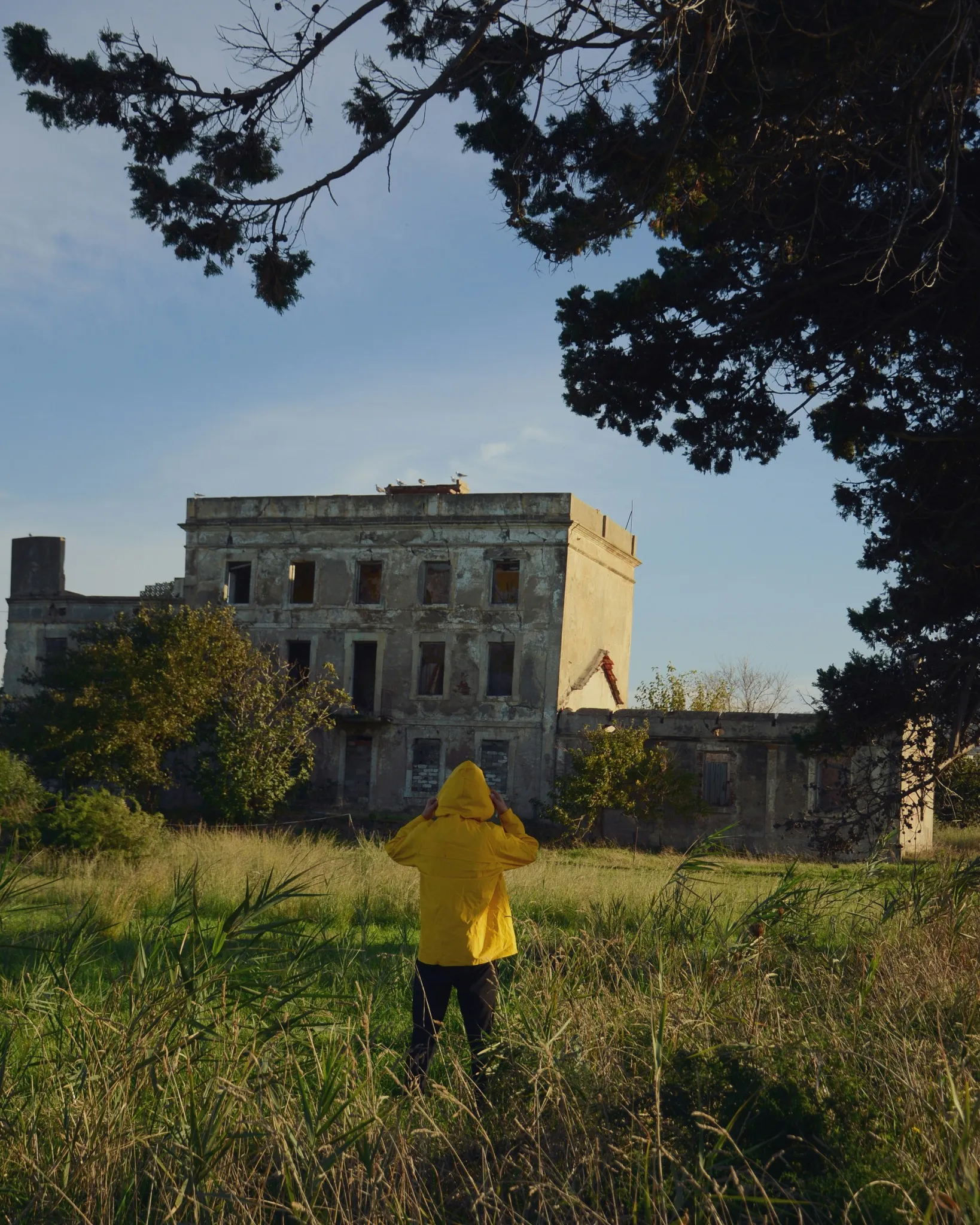 Une personne de dos, en ciré jaune à capuche, debout dans une prairie aux herbes hautes, face à une grande bâtisse abandonnée aux fenêtres vides, sous les branches d’un pin