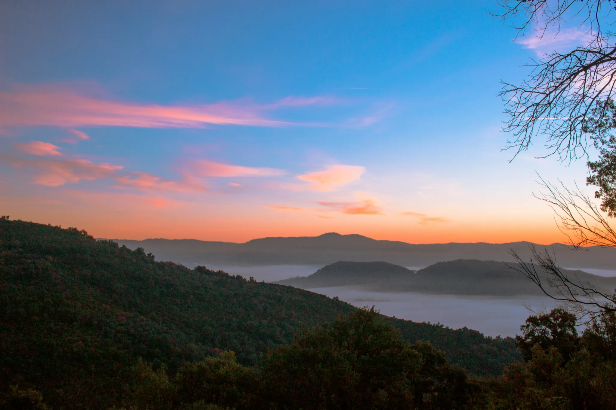 Collines couvertes de forêt au premier plan ; au loin, des sommets émergent d’une mer de brume sous un ciel rose et orangé, encadré à droite par des branches nues