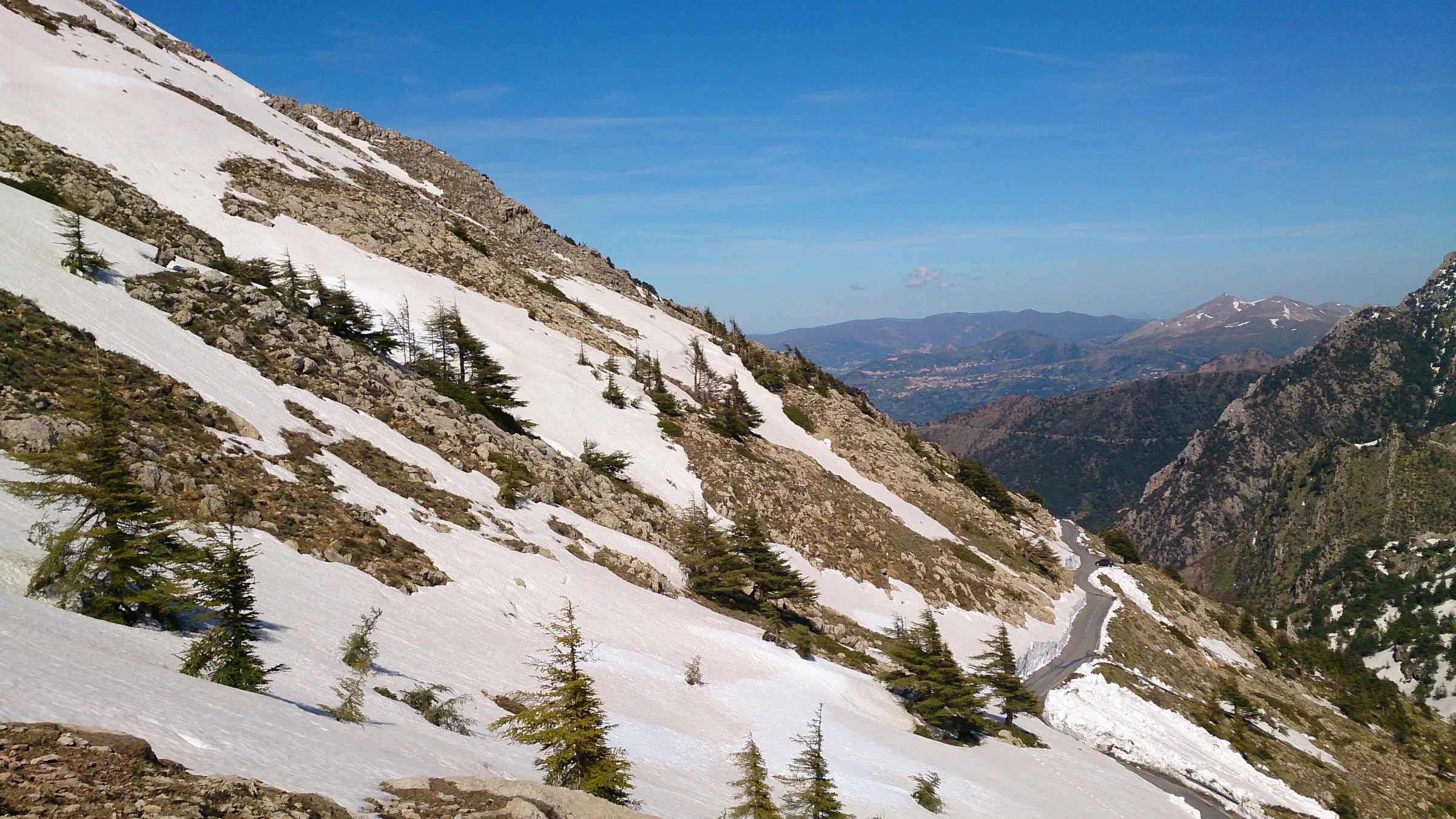 Un versant de montagne encore couvert de plaques de neige et planté de jeunes cèdres, au-dessus d’une route en lacets qui descend vers une vallée et des sommets lointains