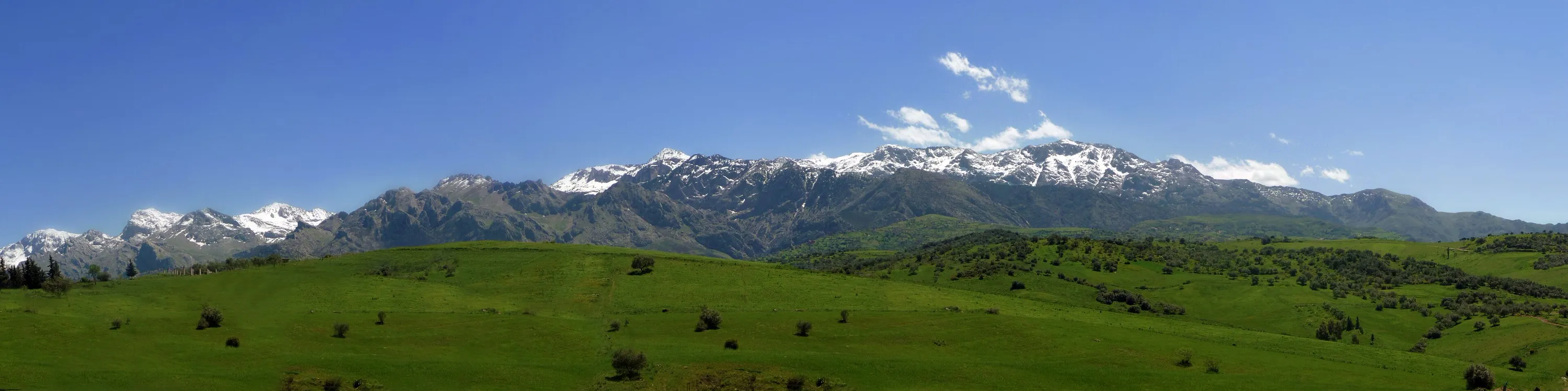 Une longue chaîne de montagnes aux sommets enneigés s’étire d’un bord à l’autre, au-dessus de prairies vertes, sous un ciel bleu