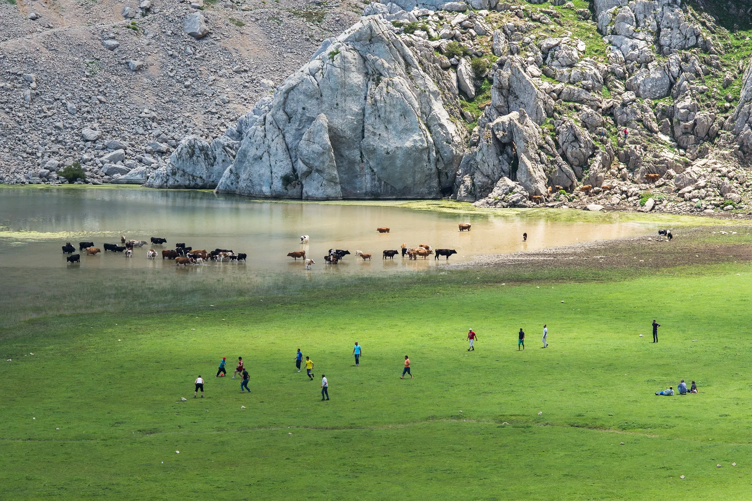 Une prairie verte au bord d’un lac peu profond où s’abreuvent des vaches ; quelques personnes jouent au ballon sur l’herbe, au pied d’une falaise calcaire grise