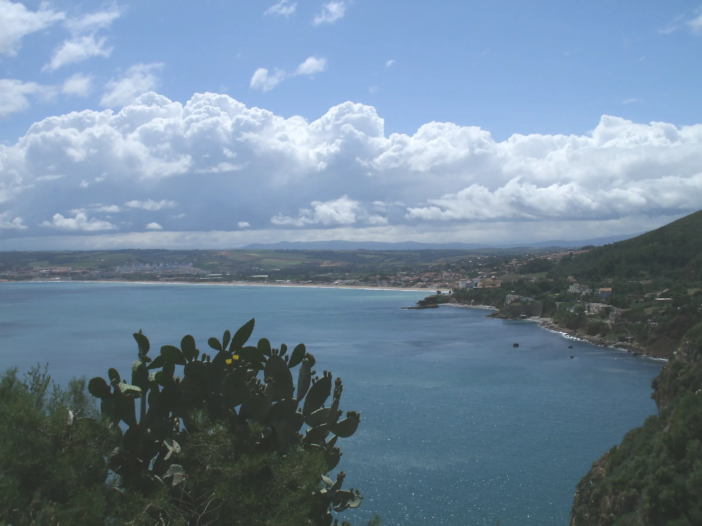 Vue des hauteurs sur une grande baie : une longue plage, des maisons et des collines, sous de gros nuages blancs ; au premier plan, un figuier de Barbarie