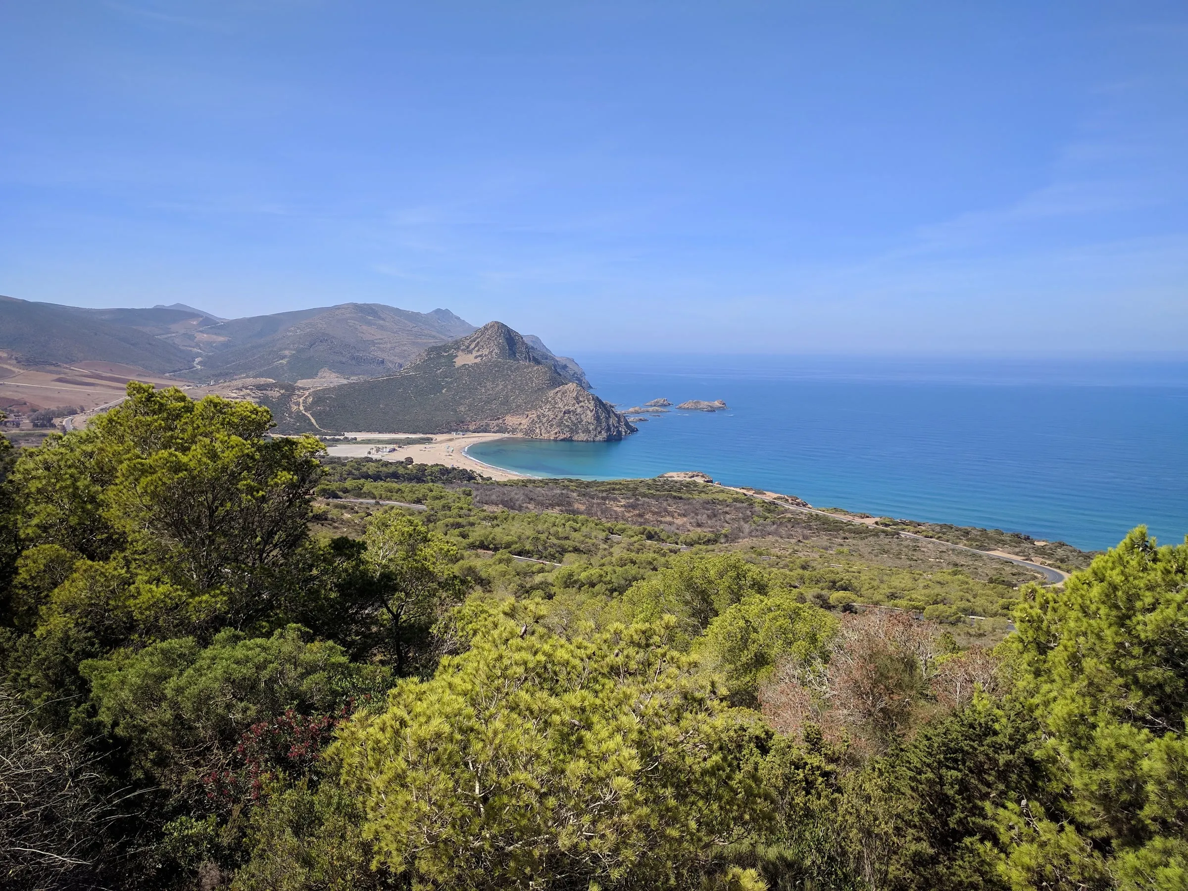 Vue des hauteurs sur une pinède dense qui descend vers une petite baie bordée de sable, fermée par un cap rocheux, sous un ciel bleu