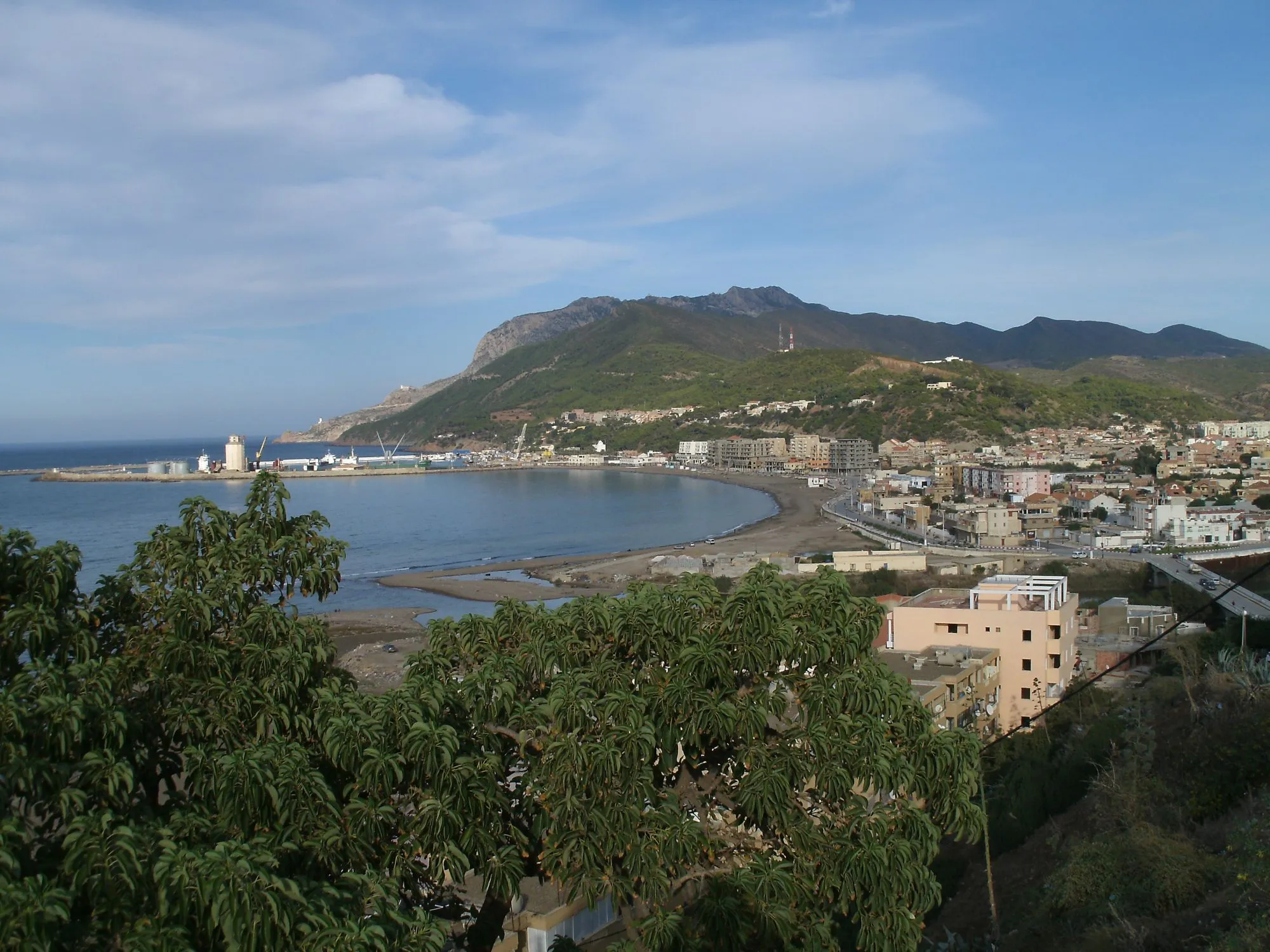 Une baie en arc de cercle bordée d’une plage, avec un port et ses jetées à gauche, une ville aux immeubles clairs à droite et des montagnes boisées au fond ; un arbre au premier plan