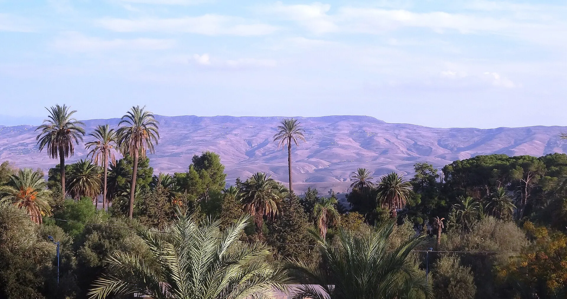 Des palmiers et des pins au premier plan, devant une longue chaîne de collines dénudées aux tons mauves, sous un ciel pâle